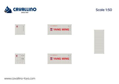 Yang Ming 20 Ft. Container
